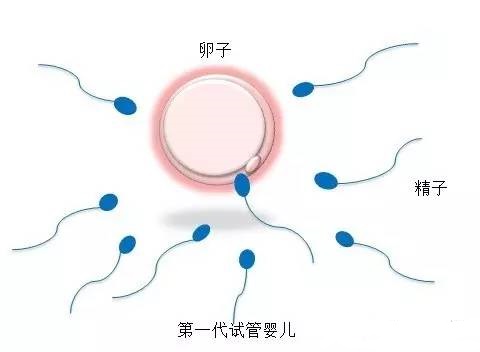 医疗团队